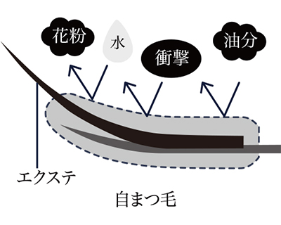 まつ毛をコーティング